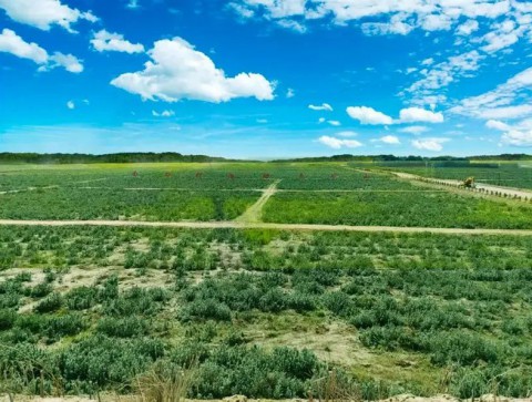 達(dá)拉特旗物華煤礦